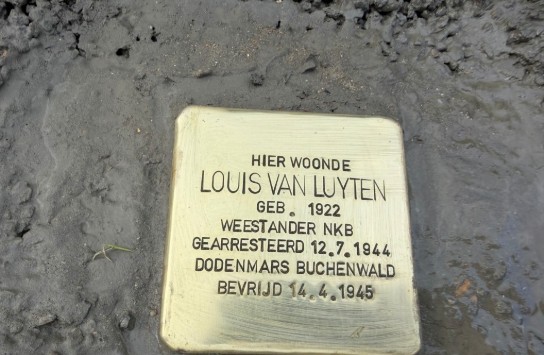  (vergroot foto)